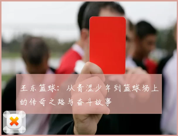 王东篮球：从青涩少年到篮球场上的传奇之路与奋斗故事