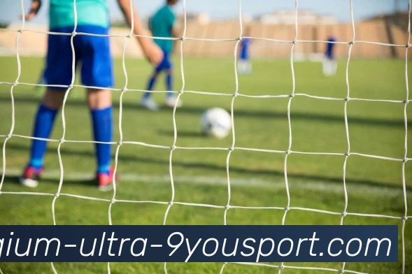 九游体育APP 封面图